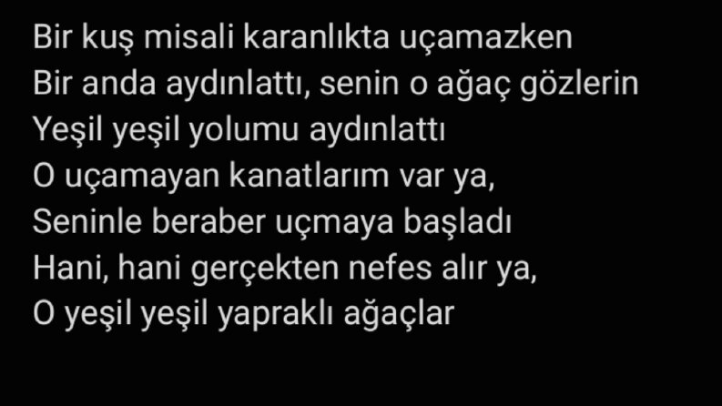 Şarkı Sözü