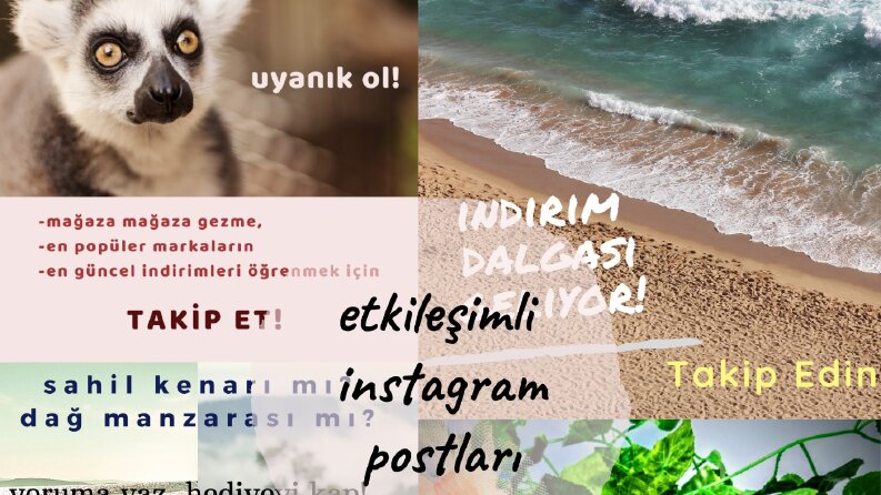 derleme