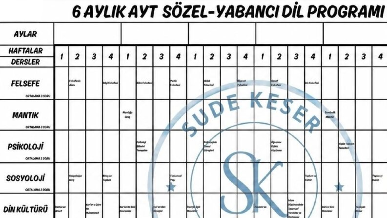 SINAV KOÇLUĞU