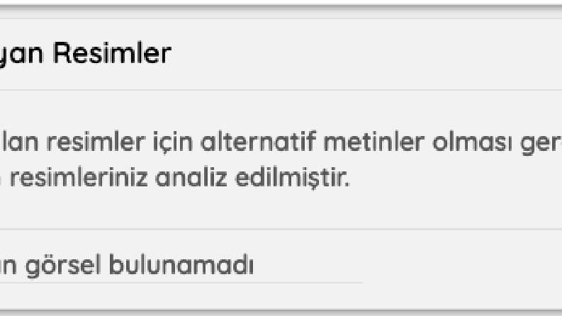E ticaret SEO