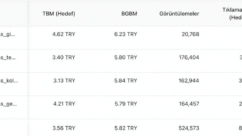 tiktok reklam yönetimi çalışmamız