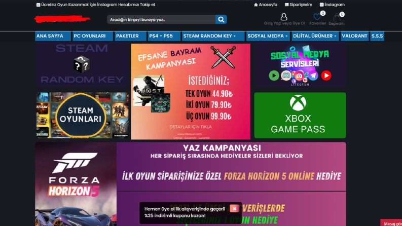 E ticaret