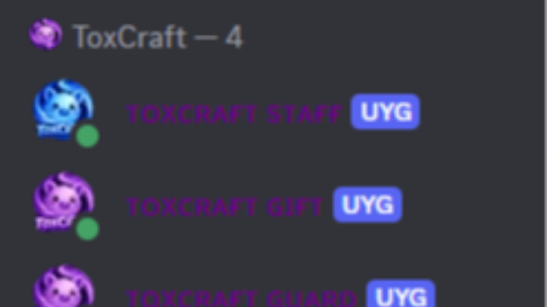 ToxCraft sunucusu için özel olarak hazırlanan discord botlar