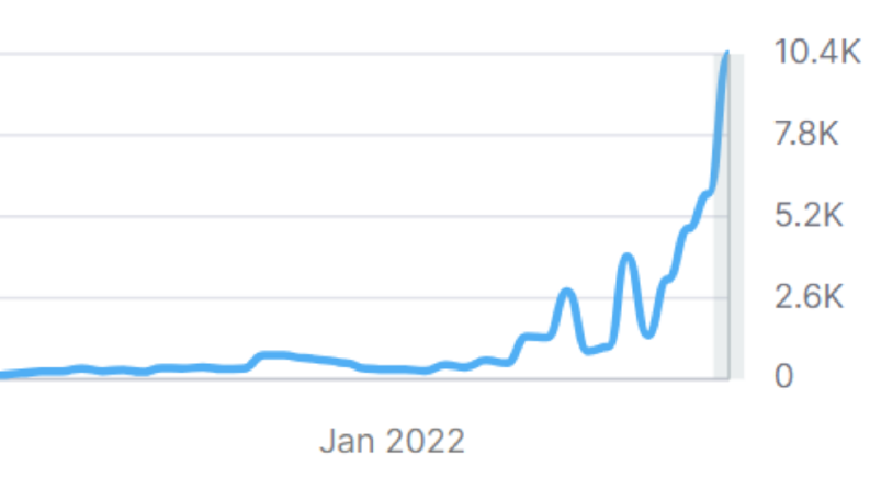 SEO Çalışmalarım