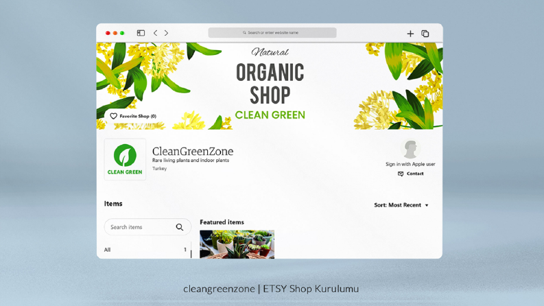 Clean Green Zone - Etsy Shop Kurulumu