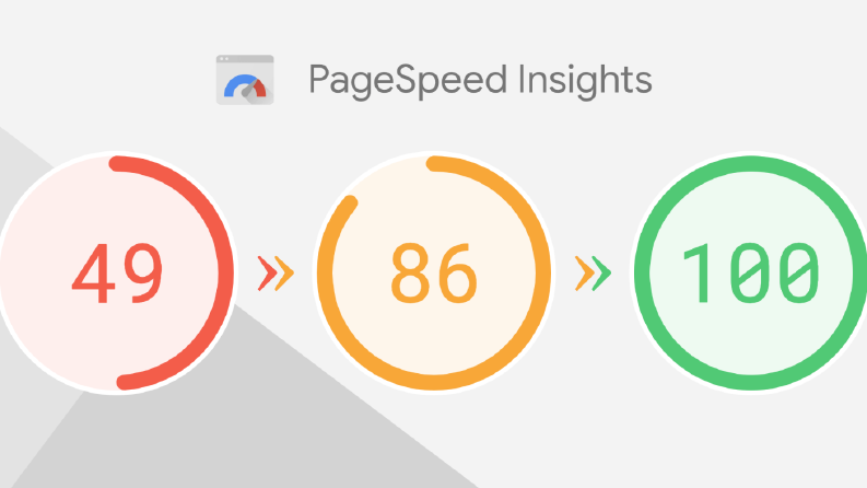 PERFMATTERS - WORDPRESS HIZLANDIRMA
