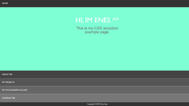PSD to CSS-HTML, Özel Kodlanmış Web Sitesi