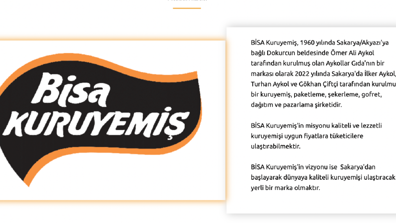 Özgün Web Sitesi İçerikleri