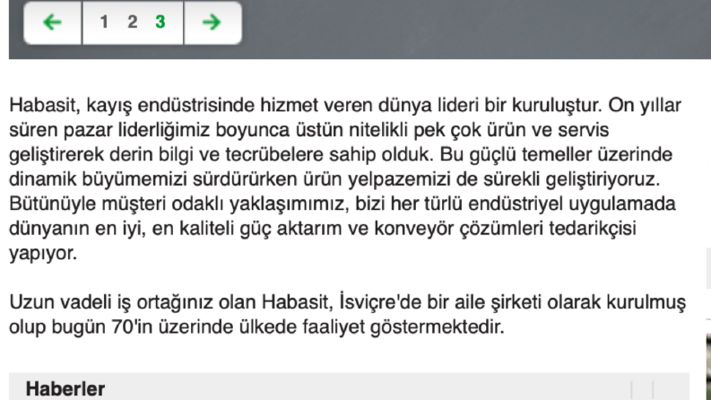 Habasit Holding Websitesinin Türkçeye Çevrilmesi