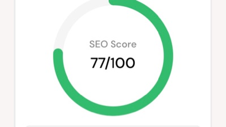 Seo uzmanı