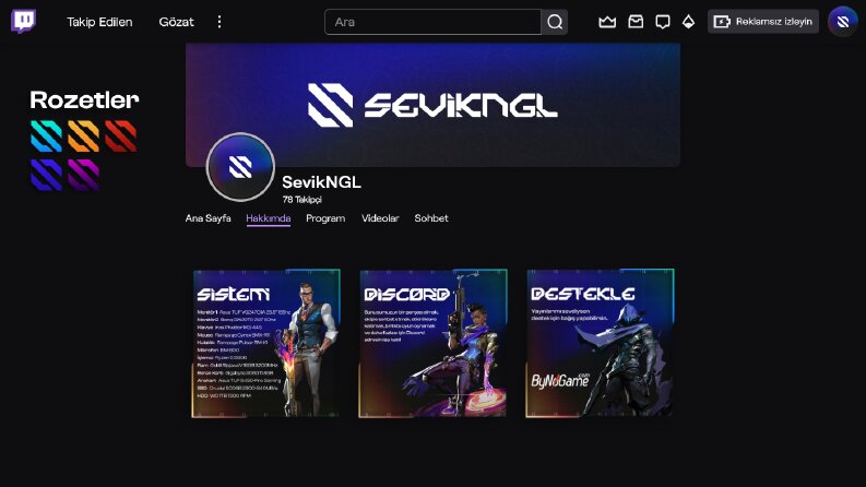 SevikNGL Twitch Panel ve Profil Tasarımı