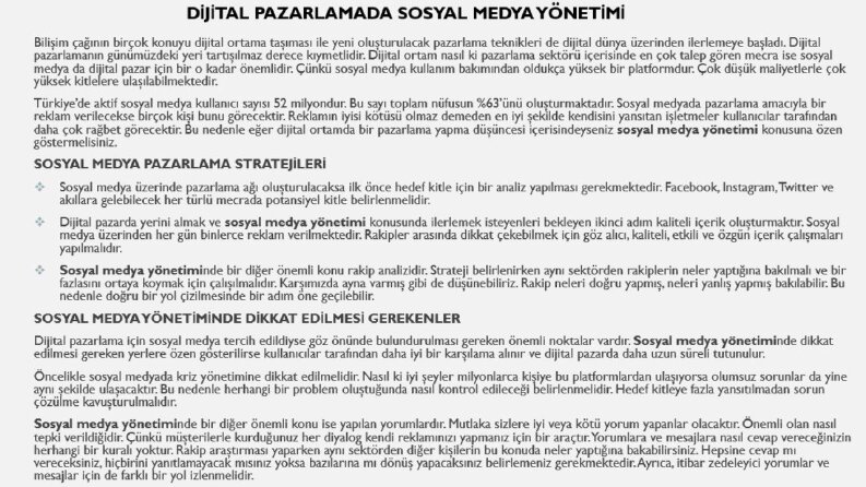 web sitesi içeriği
