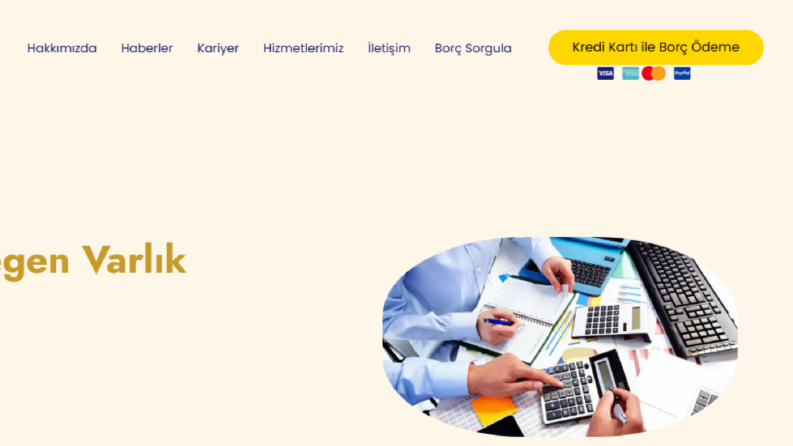 Online Ödemeli, İlan Panelli Varlık Yönetimi Siteleri