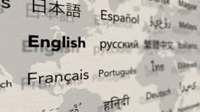 Ingilizce - Fransizca - Ispanyolca ve Japonca Ceviri