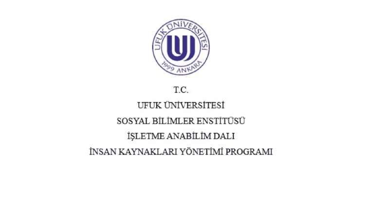 YÜKSEK LİSANS TEZ DÜZENLEMESİ