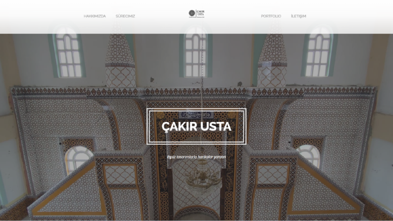 Blog, Vitrin WEB Sitesi