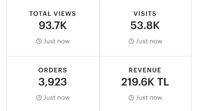 Etsy Dijital Satış Örnek Kazançlar