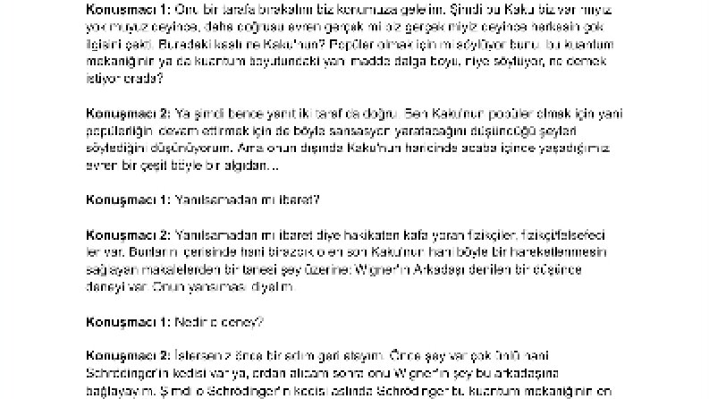 Profesyonel Ses ve Video Deşifre İş Örneği