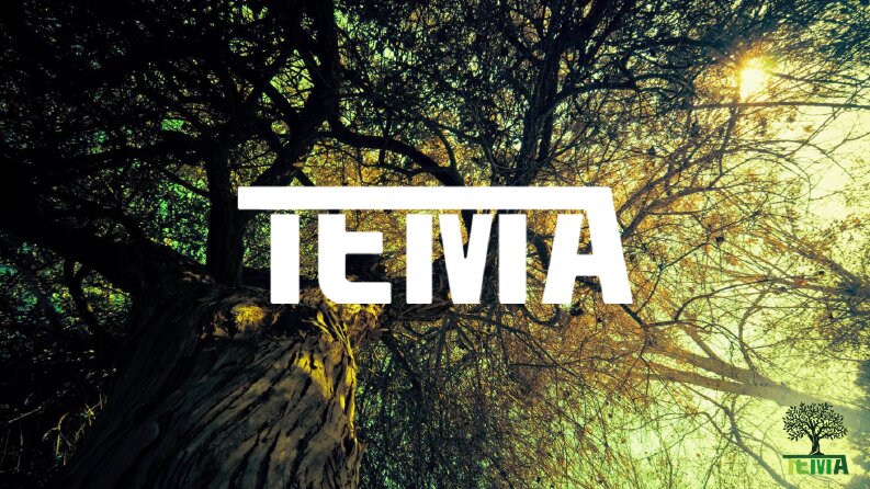 Tema Vakfı Rebranding
