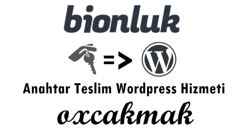 Anahtar Teslim Wordpress Hizmeti