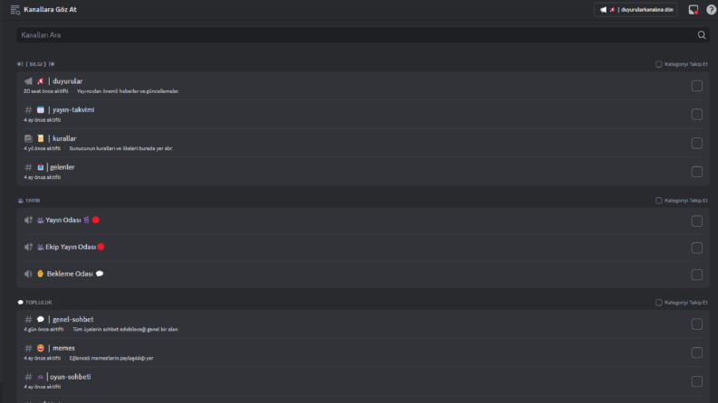 Discord Sunucu Kurulumu/Ayarlamaları