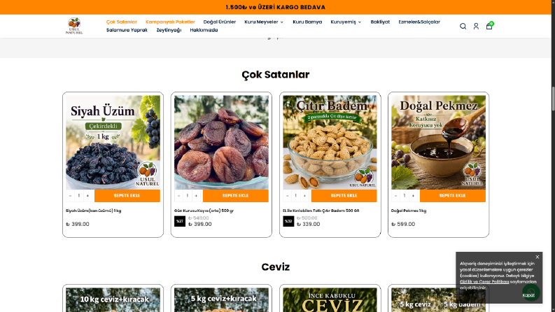 Profesyonel web sitesi