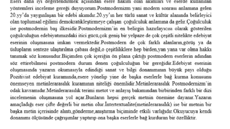 roman üzerine bir makale
