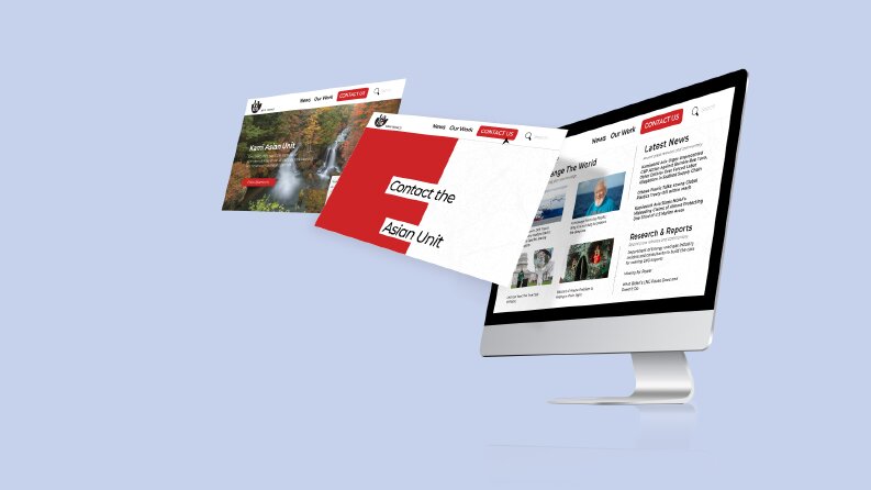UI-UX Tasarımı