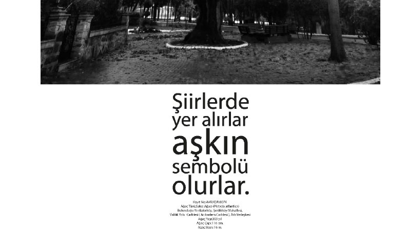 Anıt Ağaçlar konsept seri afişleri