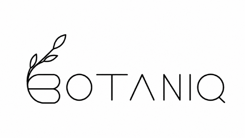 BotaniQ Logo Tasarımı