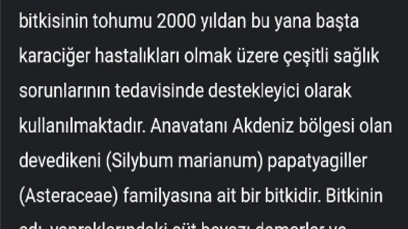 Zeolit Faydaları 
