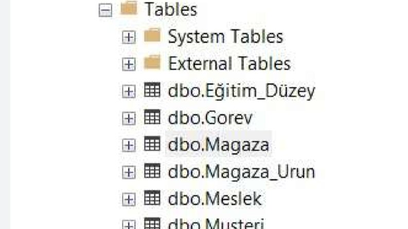 MSSQL Veritabanı