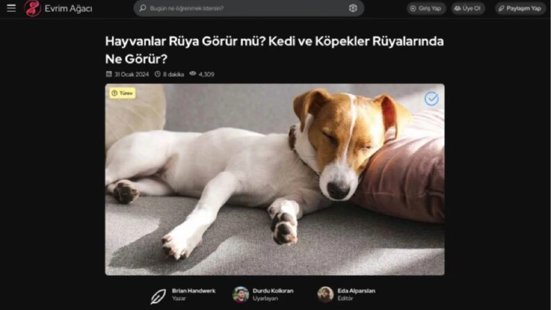 Evrim Ağacı Platformuna Gönüllü Çeviri