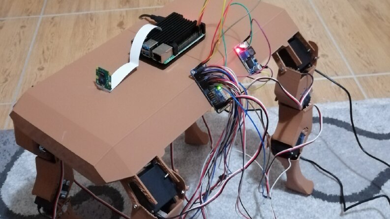 Nesne Tespit Edebilen Robot Köpek Projesi
