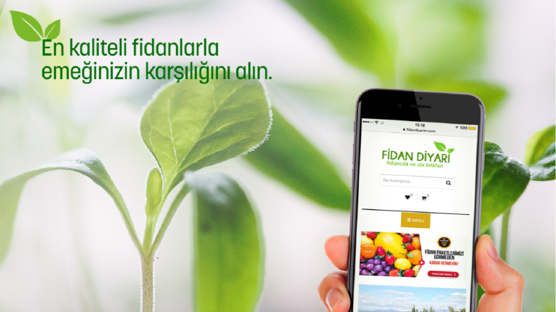 Fidan Diyarı