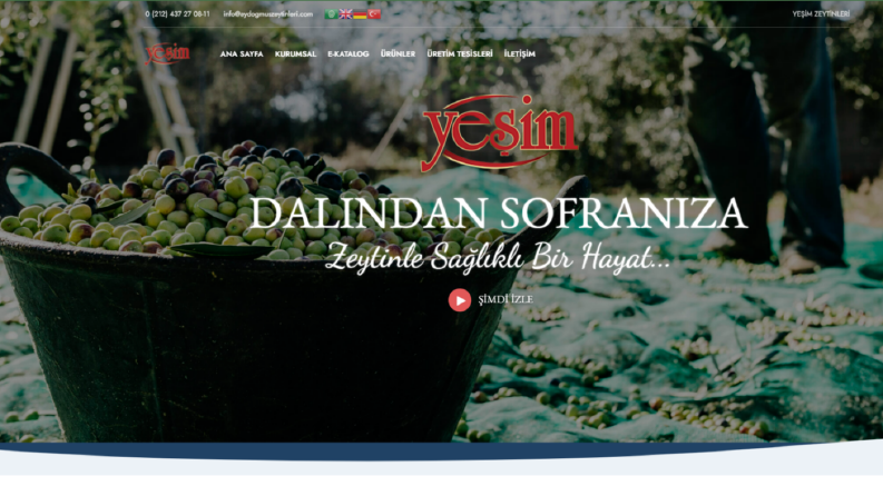 Yeşim Zeytinleri