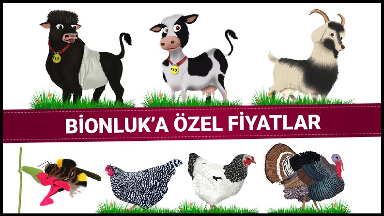 illüstrasyon örnekleri