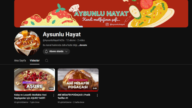 Aysunlu Hayat Youtube kanalının tüm videoları