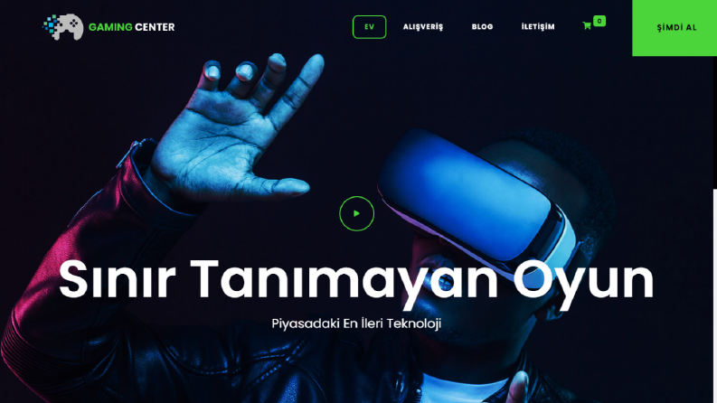 Web Tasarımı