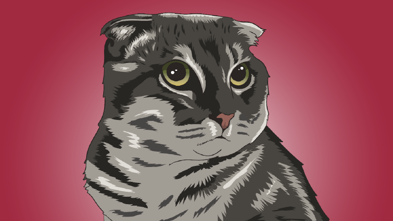 Kedi illüstrasyonu
