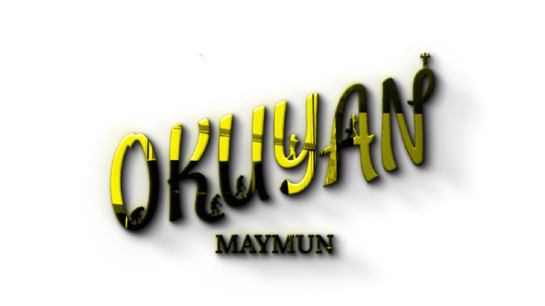 Okuyan Maymun logo çalışması