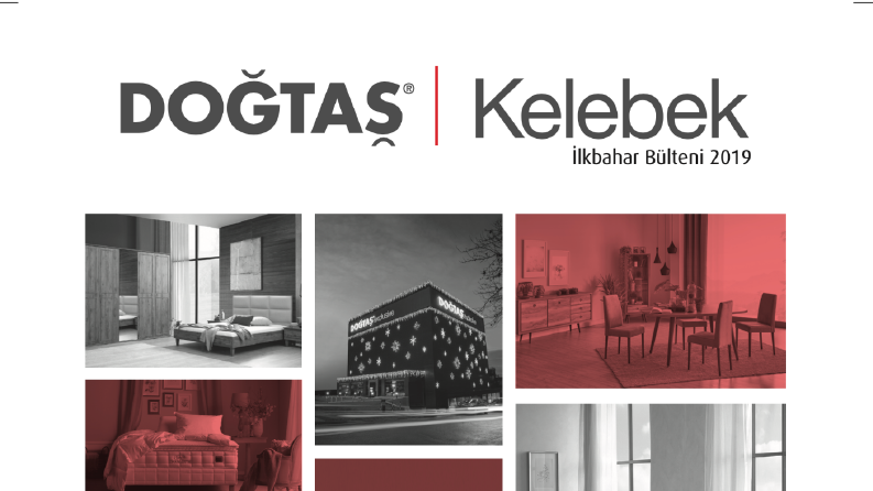 Katalog ve Broşür Tasarımı