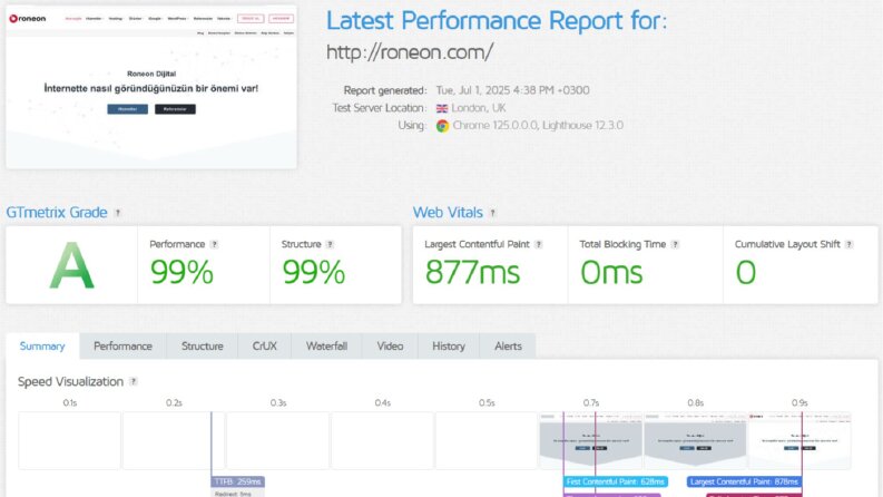 WordPress Hız Optimizasyonu