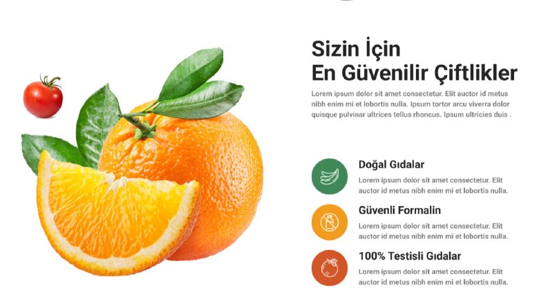 👉 Modern Sağlıklı Yaşam & E-Ticaret Web Arayüzü (UI)