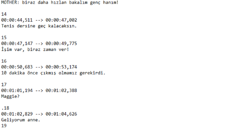 Dizi Çevirisi Portfolyom