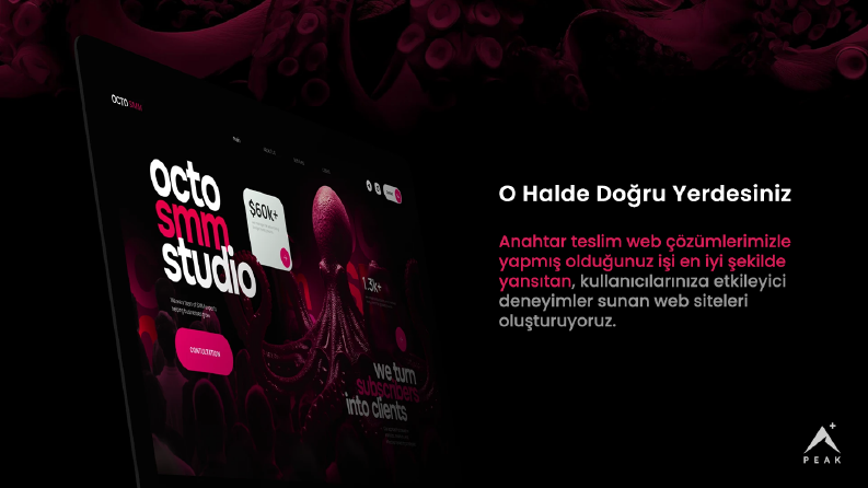 Peak+ Konsept Tasarım