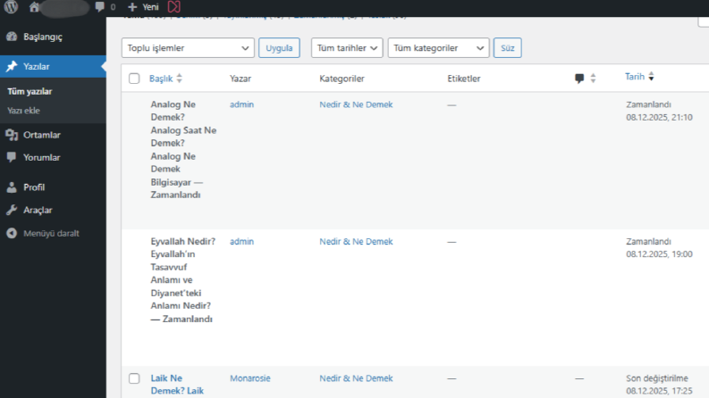 Wordpress Veri Girişi ( Blog Tasarımı ) 