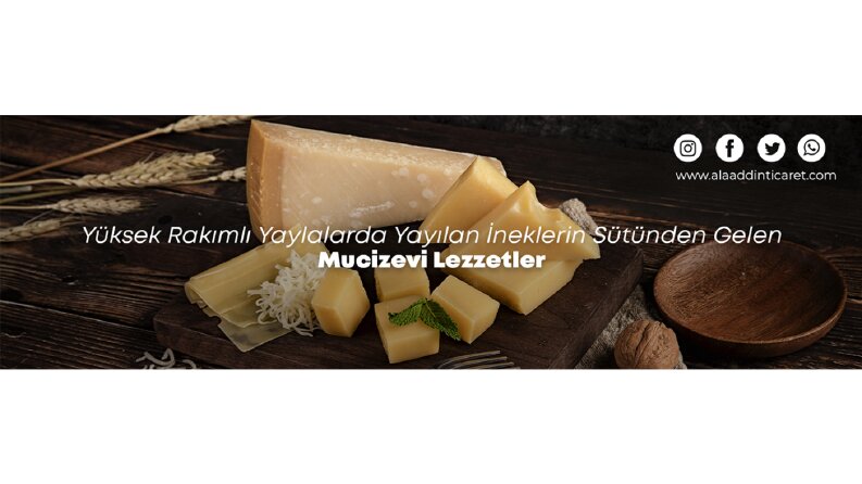 Reklam - Banner Tasarımları