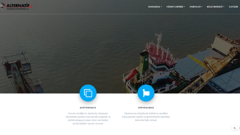 Alternatif Gümrük-Web Sitesi
