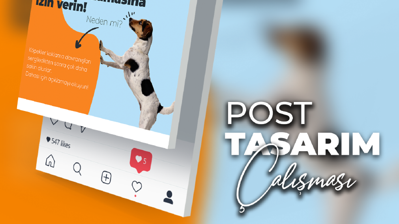 Sosyal Medya Post Çalışması